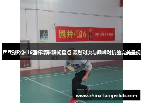 乒乓球欧洲16强杯精彩瞬间盘点 激烈对决与巅峰对抗的完美呈现
