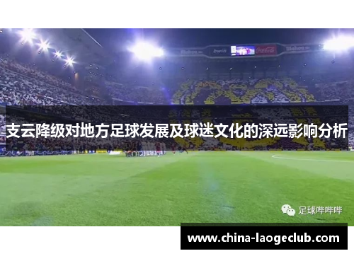 支云降级对地方足球发展及球迷文化的深远影响分析