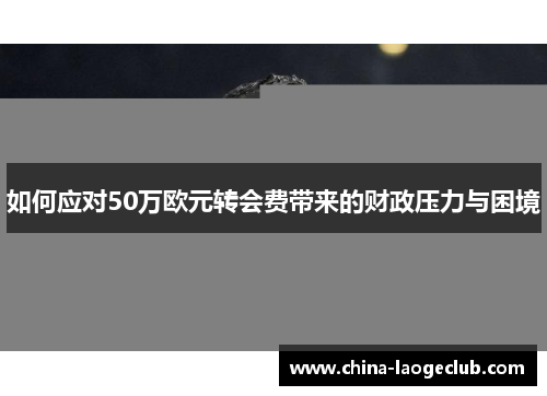 如何应对50万欧元转会费带来的财政压力与困境