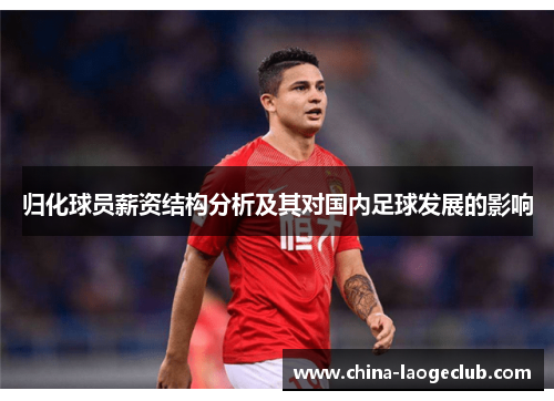 归化球员薪资结构分析及其对国内足球发展的影响