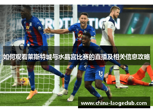 如何观看莱斯特城与水晶宫比赛的直播及相关信息攻略