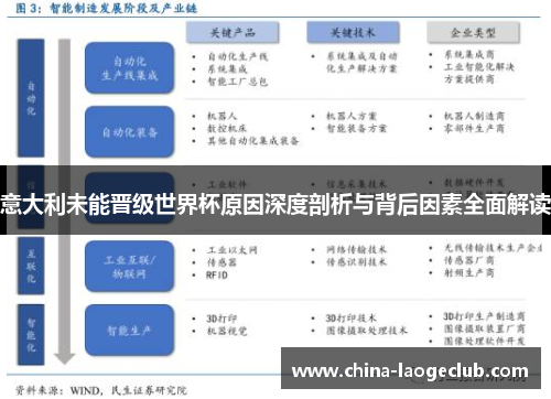 意大利未能晋级世界杯原因深度剖析与背后因素全面解读