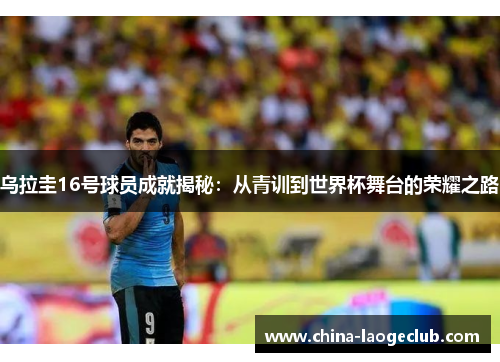 乌拉圭16号球员成就揭秘：从青训到世界杯舞台的荣耀之路