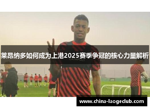 莱昂纳多如何成为上港2025赛季争冠的核心力量解析